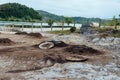 Volcanic ovens to make Cozido of Furnas at the Lake Furnas