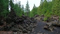 Volcanic path through the rough arid landscape of Chinyero Special Natural Reserve, Tenerife, Canary Islands, Spain