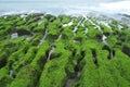 Volcanic reef formation of tidal creeks.