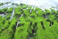 Volcanic reef formation of tidal creeks.