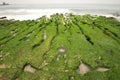 Volcanic reef formation of tidal creeks.