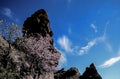 Volcanic Rock Basaltic Formation in Gran Canaria