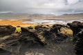 Volcanic rock formation near Dyrholaey, Iceland Royalty Free Stock Photo