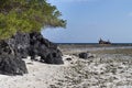 Volcanic Rock in shoreline