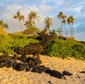 The Volcanic Shoreline of Makapu\'u Beach Royalty Free Stock Photo