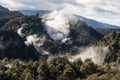 Volcanic steam in thermal valley in Rotorua