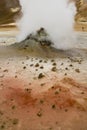 Volcanic steam vent at Namaskard Geothermal area - Iceland