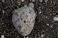 Volcanic stone on black sand Royalty Free Stock Photo