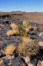 Volcanic stoneformations and desert bushes at the boarder of the Royalty Free Stock Photo