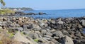 Volcanic stones on the seashore, great volcanic rocks on the Ionian sea, seashore, palm trees on the seashore Royalty Free Stock Photo