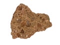 Volcanic tuff rock sample, isolated on white background. Royalty Free Stock Photo