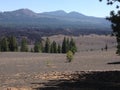 Volcanic View, Cinder Cone Nature Trail, Lassen Volcanic National Park Royalty Free Stock Photo