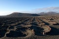 The volcanic vineyard, Lanzarote, Canarian Islands.