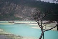 The volcanic white crater Kawah Putih touristic sight in Indonesia