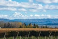 Volcano Aconcagua Cordillera and Vineyard in the Argentine province of Mendoza Royalty Free Stock Photo