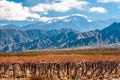 Volcano Aconcagua and Vineyard, Argentine province of Mendoza Royalty Free Stock Photo