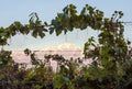 Volcano Aconcagua and Vineyard, Argentine province of Mendoza Royalty Free Stock Photo