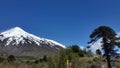 Volcano blue sky mountain palm snow