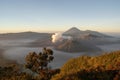 Volcano Bromo, Indonesia