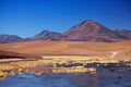 Volcano Cerro Colorado near Rio Putana in Atacama