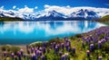 volcano chile lake district Royalty Free Stock Photo