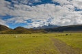 Volcano in Cotopaxi National Park, Ecuador Royalty Free Stock Photo