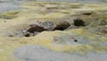 Volcano craters, volcanic caldera on island of Nisyros, Greece