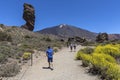 The volcano El Teide in Tenerife, Spain