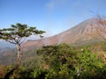 Volcano Gunung Inerie