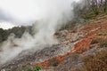 volcano , image taken in Follonica, grosseto, tuscany, italy , larderello desert