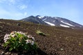 Volcano Kizimen, Kamchatka, Russia, volcanic landscape Royalty Free Stock Photo