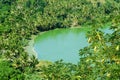 The volcano lake of Dziani on Mayotte island Royalty Free Stock Photo