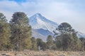 Volcano Lanin, Argentina Royalty Free Stock Photo