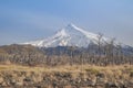 Volcano Lanin, Argentina Royalty Free Stock Photo