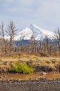 Volcano Lanin, Patagonia, Neuquen Royalty Free Stock Photo