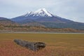 Volcano Llaima in Conguillio National Park, Chile