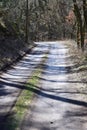 dirt road in spring forest Royalty Free Stock Photo