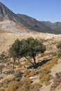 Volcano in Nissiros Island Greece