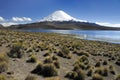 Volcano Parinacota and lake Chungara