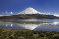 Volcano Parinacota and lake Chungara