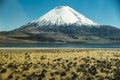 Volcano Parinacota and lake Chungara Royalty Free Stock Photo