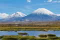 Volcano Parinacota snow top in Chile and Bolivia