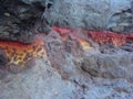 A Volcano's Lava Flow Shows Colorful Rock Layers.
