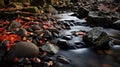 Volcano Stream A Serene River With Red Leaves And Small River Stones Royalty Free Stock Photo