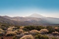 Volcano summit, mountain landscape Teide National Park in Tenerife Royalty Free Stock Photo