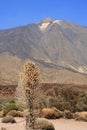 Volcano teide Royalty Free Stock Photo