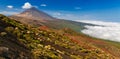 Volcano Teide and Orotava Valley Tenerife, Canary Islands Royalty Free Stock Photo