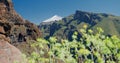Volcano Teide, Tenerife, Canary Islands, Spain. View of the peak of the snowy Mount Teide. Pico del Teide, Tenerife Royalty Free Stock Photo