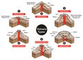 Volcano Types Infographic Diagram