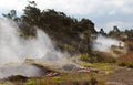 Volcano Vents from the Big Island